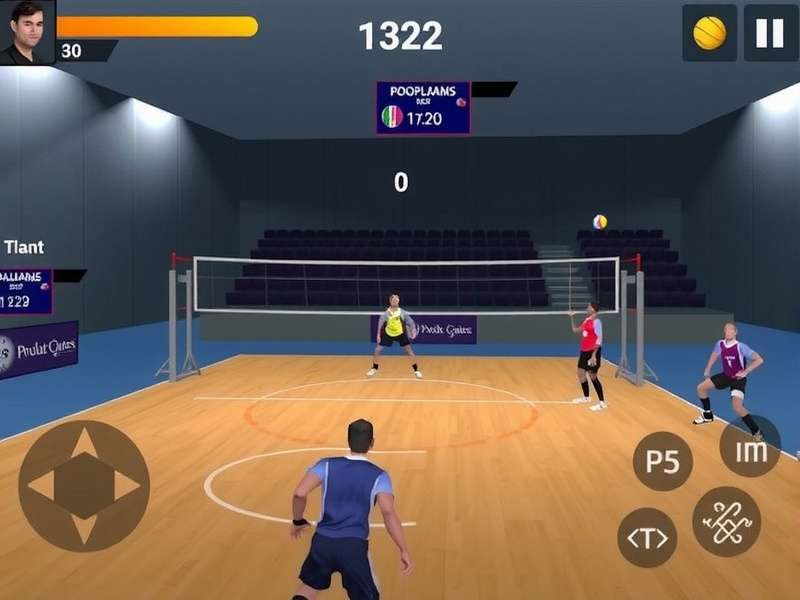 Indo Pak Volley Supremacy controls and interface